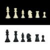 Toyfun Chess Set Grandmaster Playing coins